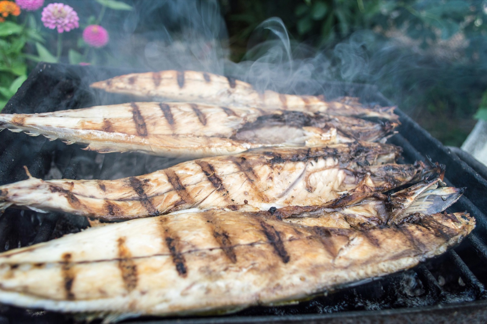 Grillade sardiner med citron och örter på grillen